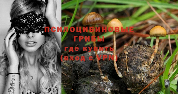 индика Балабаново