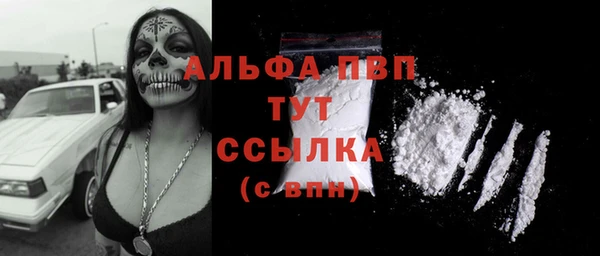 индика Балабаново