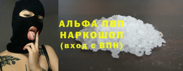 гашик Белокуриха