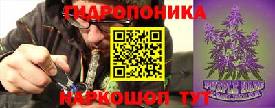 a pvp Аргун