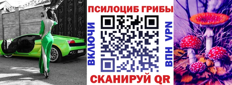 купить  сайты  Бузулук  Галлюциногенные грибы Psilocybine cubensis 