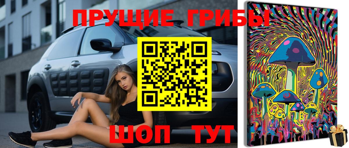 Псилоцибиновые грибы мицелий  Вход с VPN  Бузулук 