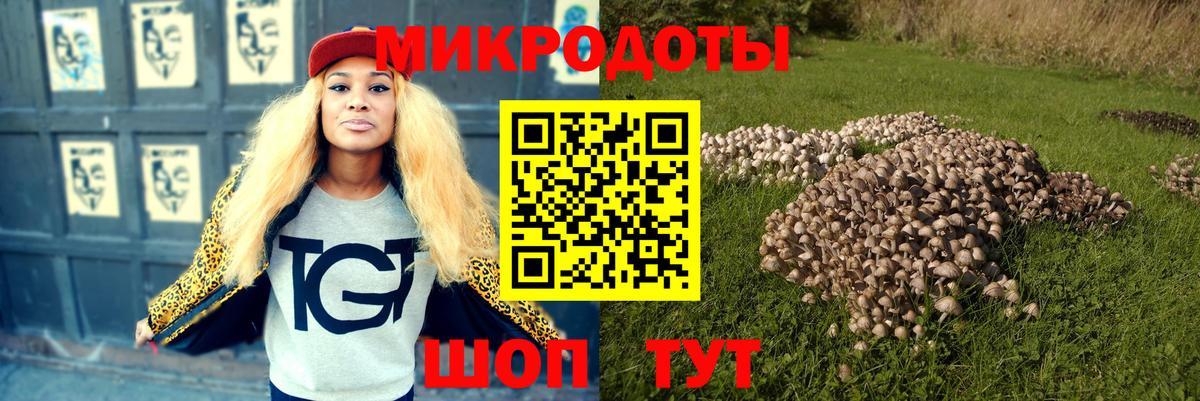 Псилоцибиновые грибы мухоморы Бузулук